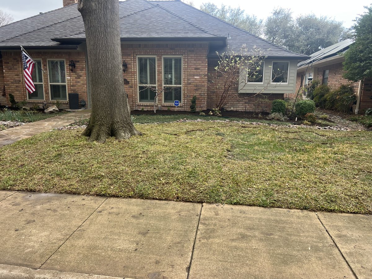 Before — soil prep and tilling