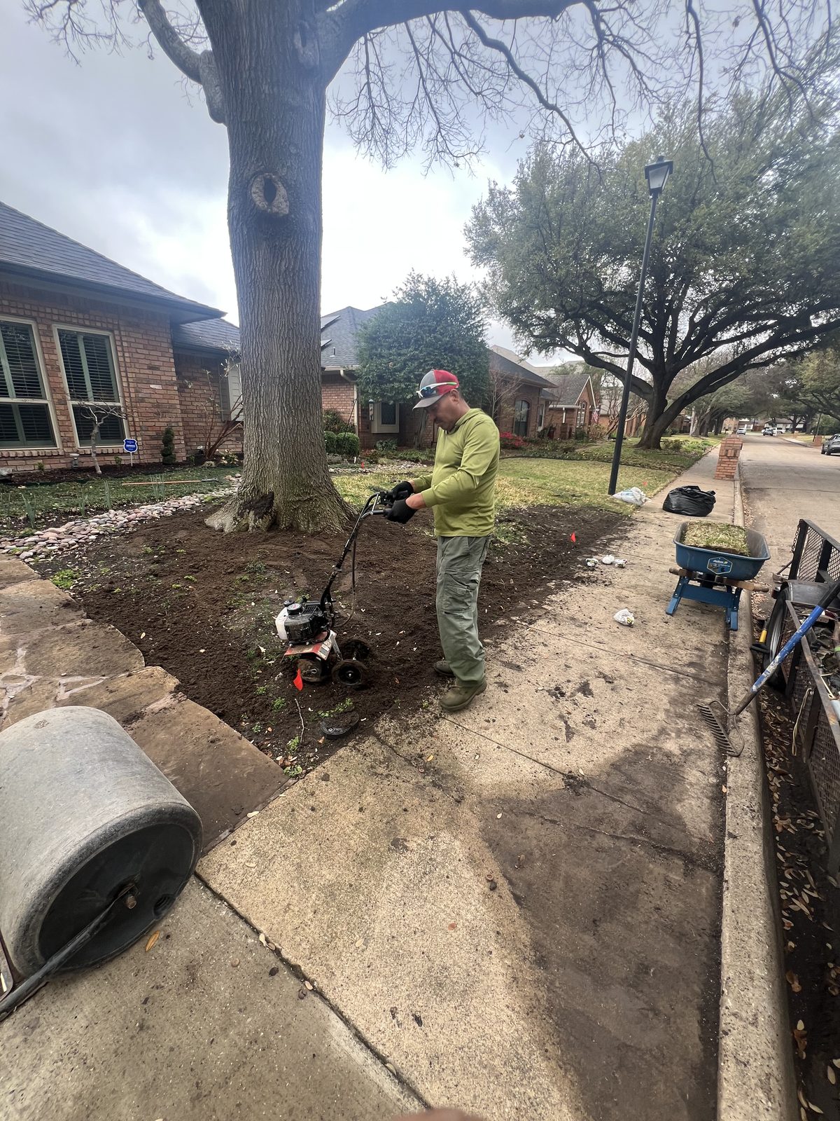 After — fresh sod installed