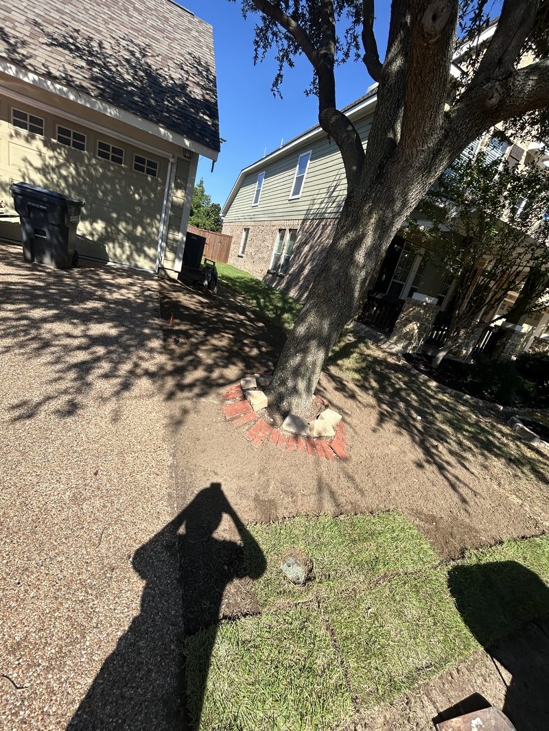 Tree ring border landscaping