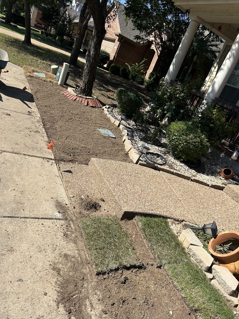 Grass installation project