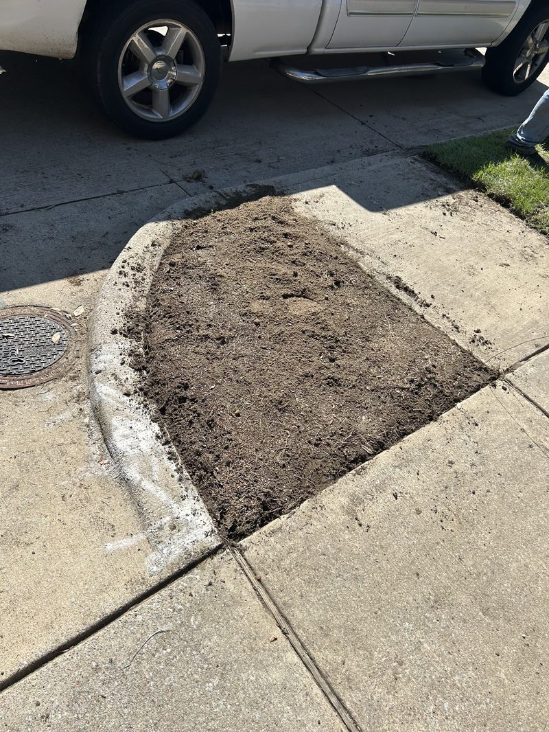 Soil preparation for new lawn